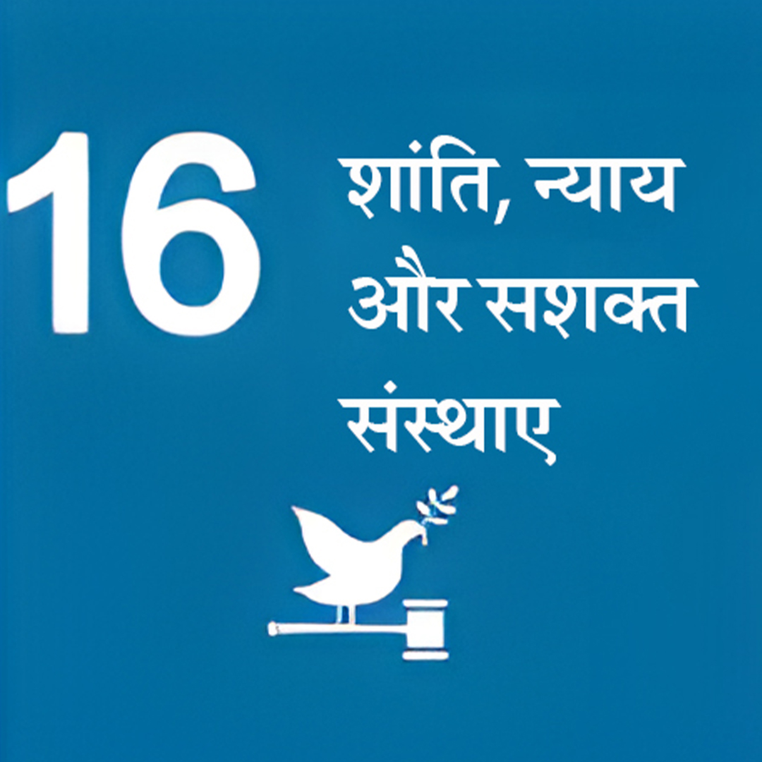 Peace, Justice and Strong Institutions