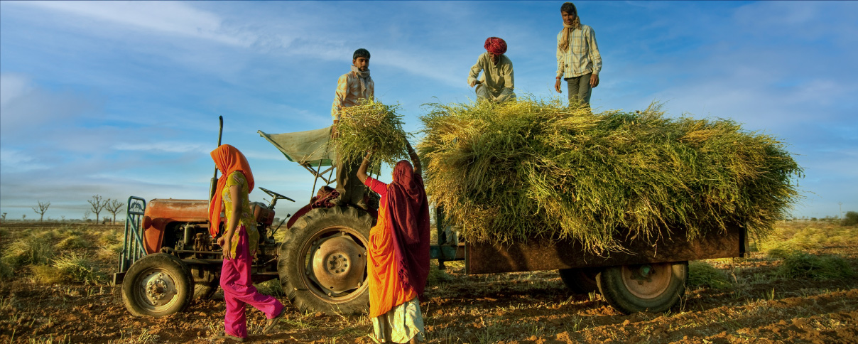 Leveraging Agroecological Approaches for Clean and Green Villages